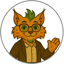 Качество жизни